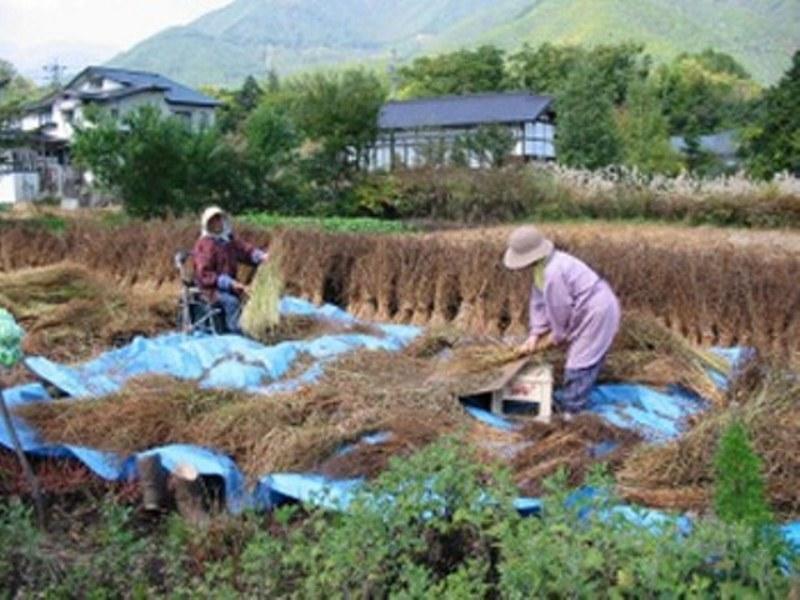 Village Inn Seizanso Matsumoto Bagian luar foto
